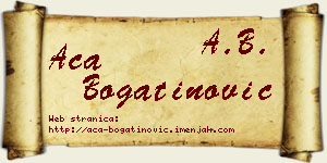 Aca Bogatinović vizit kartica